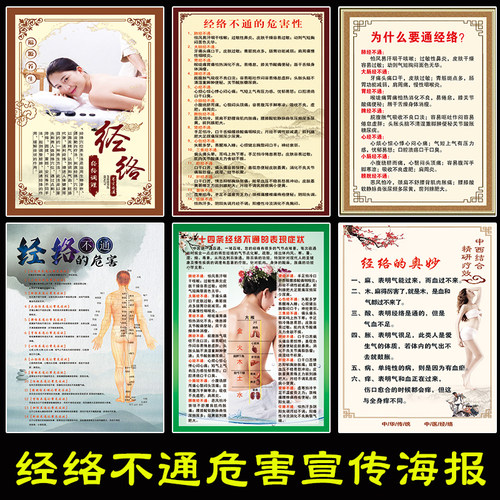 人体十四条经络不通症状海报