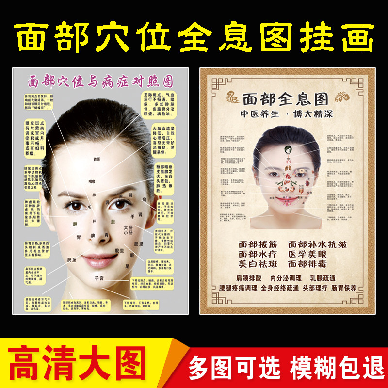 人体面部经络穴位示意图大挂图 美容院面诊反射区与病症对照图