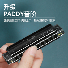 romusic若米口琴十孔布鲁斯C调初学者蓝调10孔专业演奏级paddy