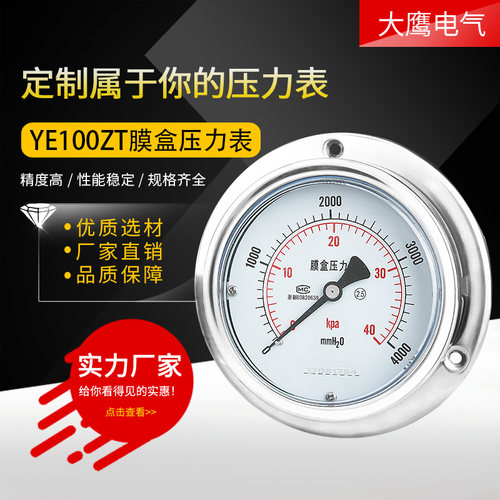 轴向带边法兰膜盒压力表