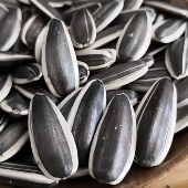 现炒葵瓜子炒货原味2025年大白味500g办公室零食