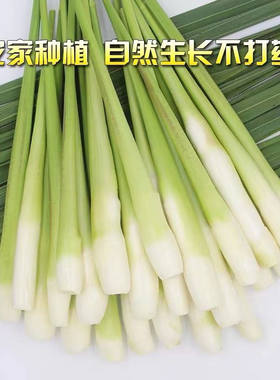 浙江高山农家无添加茭白新鲜特价批发瓜时令蔬菜高笋鲜嫩竹笋孕妇