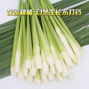 浙江高山农家无添加茭白新鲜特价批发瓜时令蔬菜高笋鲜嫩竹笋孕妇
