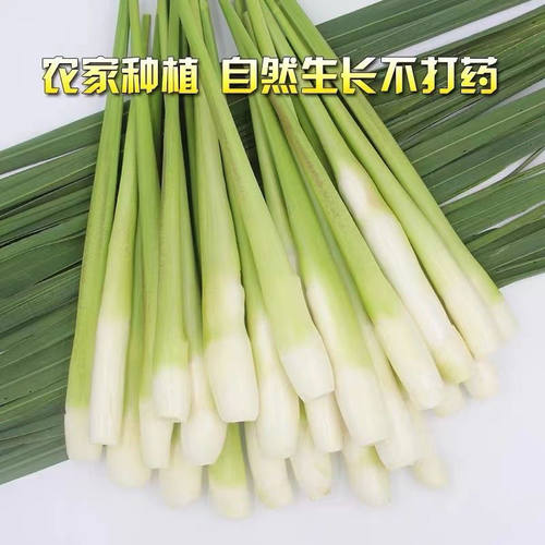浙江高山农家无添加茭白新鲜特价批发瓜时令蔬菜高笋鲜嫩竹笋孕妇