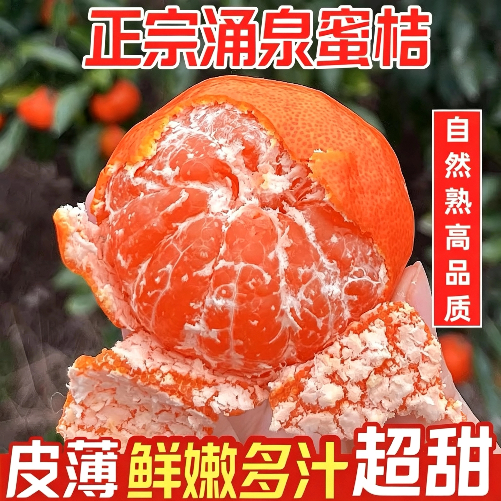 临海正宗涌泉蜜桔顺丰新鲜水果无核橘子黄岩蜜桔送礼高端手提