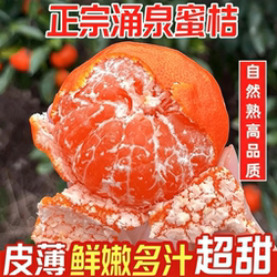 临海正宗涌泉蜜桔顺丰新鲜水果无核橘子黄岩蜜桔送礼高端手提