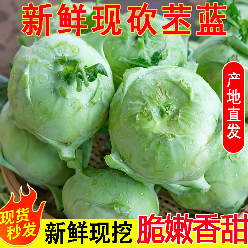 云南特产苤蓝新鲜大头菜大芥菜头撇了疙瘩青球甘蓝蔬菜农家撇啦