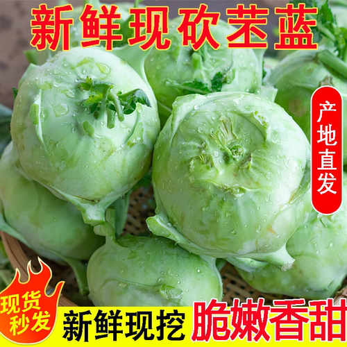 云南特产苤蓝新鲜大头菜大芥菜头撇了疙瘩青球甘蓝蔬菜农家撇啦
