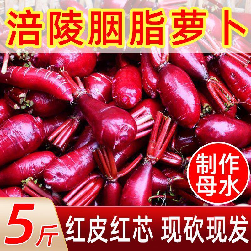 重庆涪陵红心萝卜新鲜透心红胭脂萝卜红皮红心泡菜萝卜非紫美人