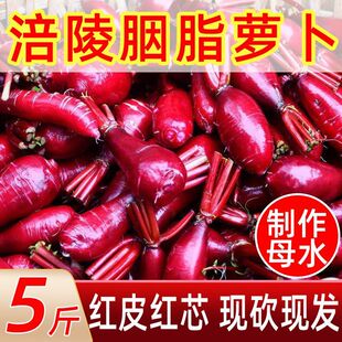 重庆涪陵红心萝卜新鲜透心红胭脂萝卜红皮红心泡菜萝卜非紫美人