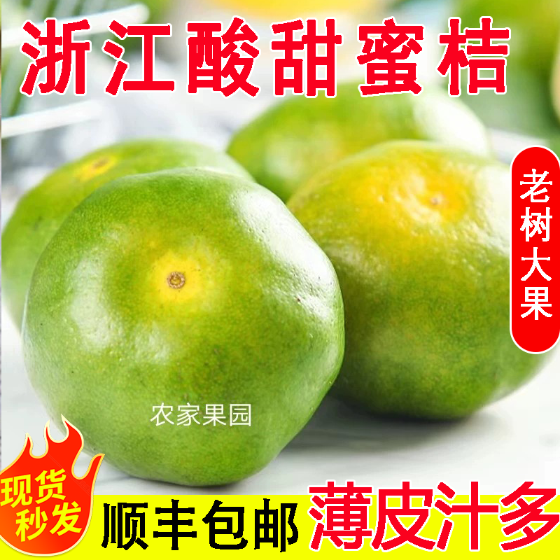 涌泉无籽蜜桔酸甜橘子水果新鲜薄皮现摘酸橘子孕妇绿橘子