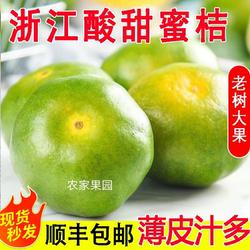 涌泉无籽蜜桔酸甜橘子水果新鲜薄皮现摘酸橘子孕妇绿橘子