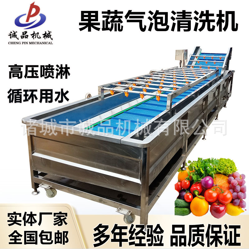 圆白菜喷淋式气泡清洗机青椒黄瓜西红柿洗菜机红薯土豆去泥清洗机