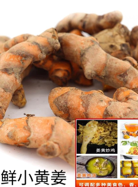 新鲜小黄姜新鲜姜黄咖哩冬阴功汤料药材增色去腥香料食用