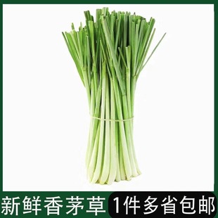 香茅草柠檬草香茅新鲜香料奶茶店用品泰国冬阴功汤原料500g包邮
