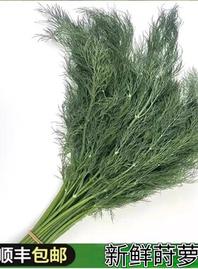 新鲜莳萝新鲜莳萝新鲜莳萝新鲜莳萝新鲜莳萝新鲜莳萝