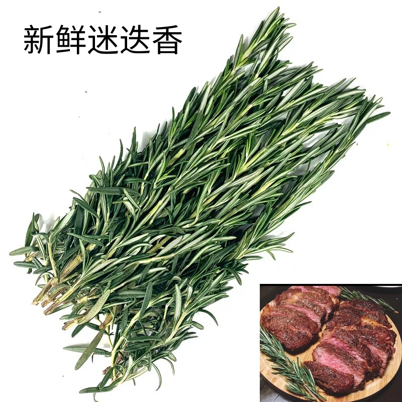 新鲜迷迭香香草马鞭草西餐煎牛排烤鸡用调味香料食用烧烤烘焙配料
