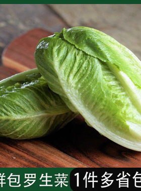 新鲜包心罗马黄心凯撒罗纹生菜轻食健身餐沙拉蔬菜西餐厅食材