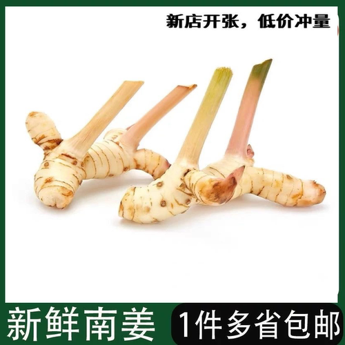 泰国冬荫功咖喱新鲜南姜良姜高良姜冬荫功汤原材料白皮南姜泰国