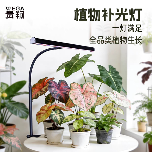 贵翔灯管夹子式植物补光灯生长灯全光谱仿太阳光灯绿植灯光照多肉