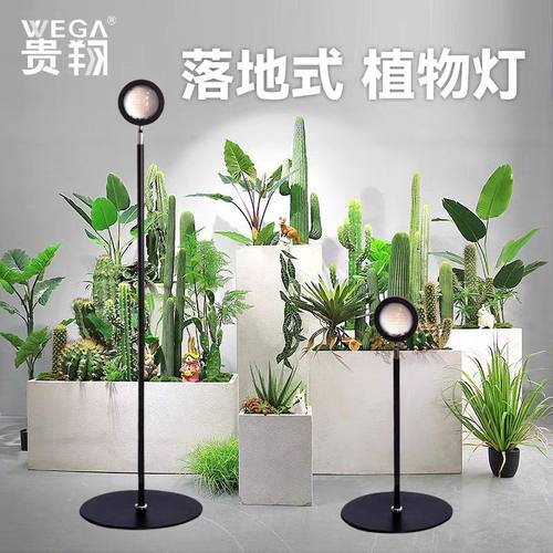 wega贵翔热植绿植补光灯