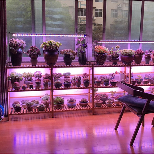 wega贵翔植物生长灯全光谱仿太阳多肉补光上色防徒家用大功率灯管 - 封面