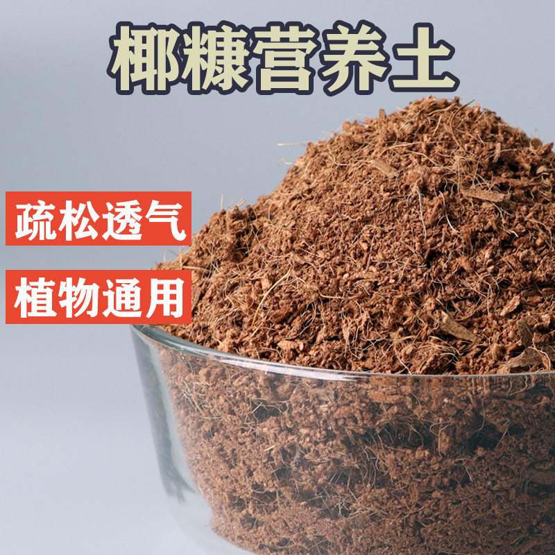 椰糠营养土种花种菜基质多肉绿萝兰花营养土免泡脱盐椰砖营养土