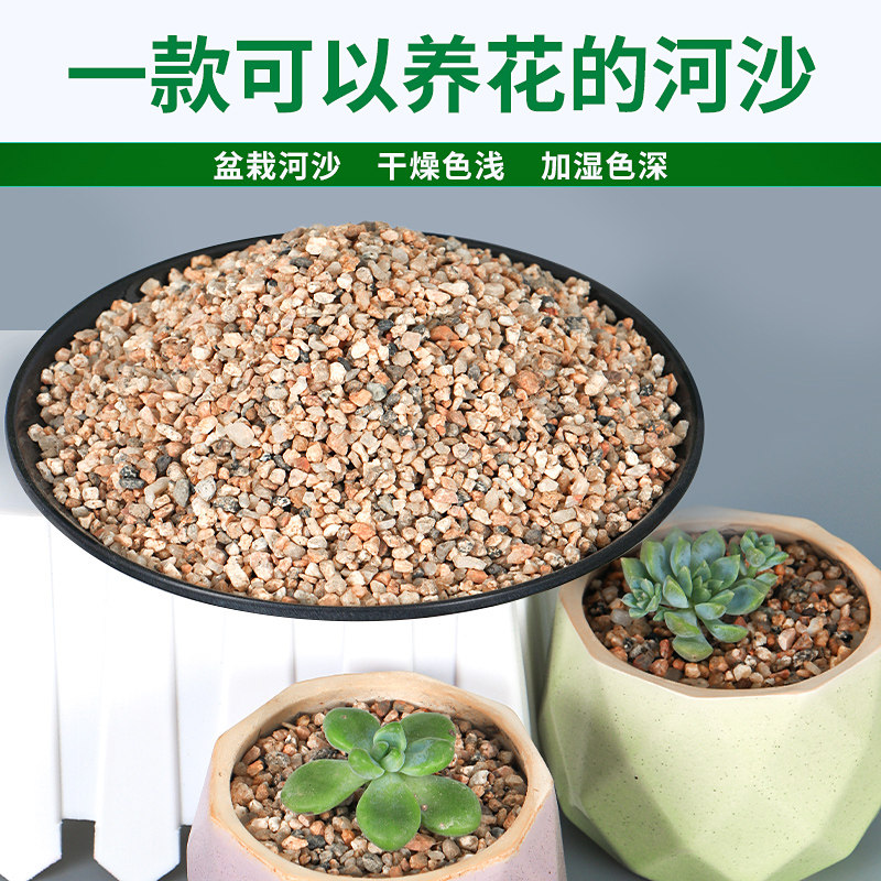 粗细河沙种植养花用拌土天然黄沙铺面中石子乌龟冬眠孵蛋鱼缸底砂