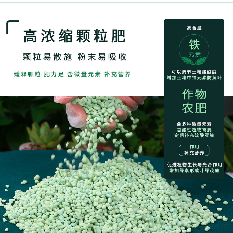 硫酸亚铁花肥料土壤改良酸性茉莉杜鹃花茶花绿萝发财树黄叶专用肥