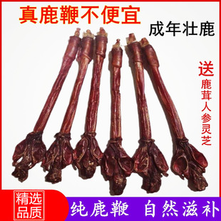 鹿鞭干整根整枝滋补泡酒料梅花鹿鞭正宗鹿茸片送枸杞人参灵芝精品