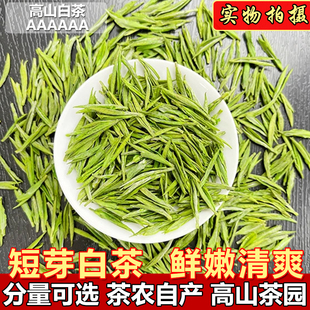 (小短芽白茶)正宗浙江高山绿茶2026新茶花香兰花香口粮茶叶批发