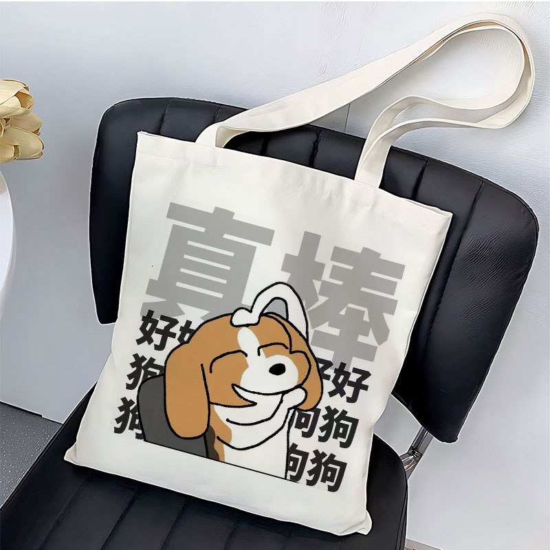 暹罗厘普比格多栋周边帆布包定制带拉炼学生大容量拎书单肩手提袋