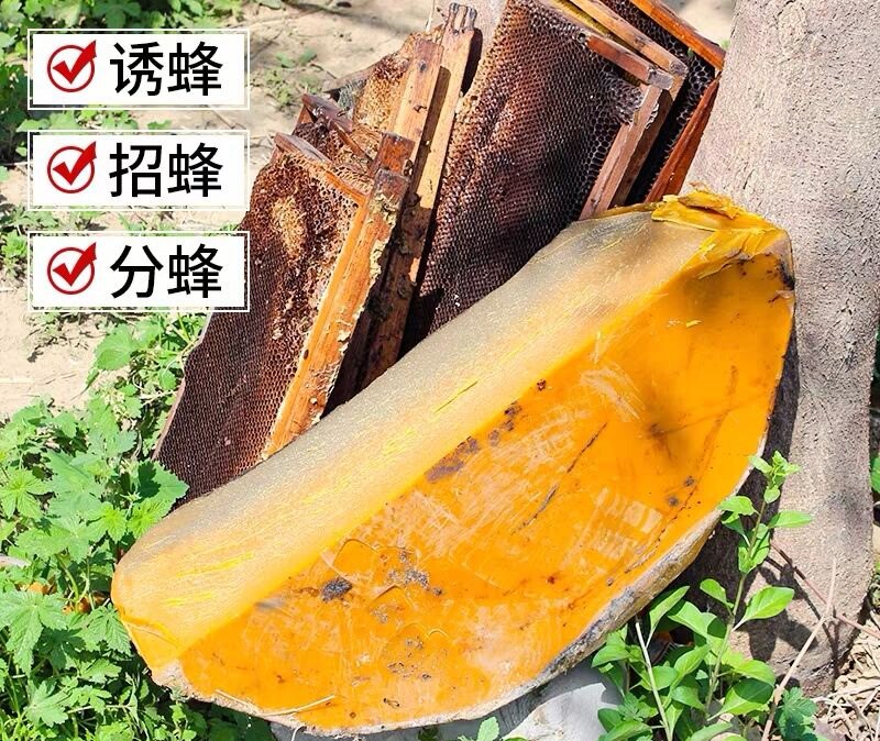 中蜂诱蜂蜡蜂蜡老巢脾蜡纯正蜂蜡蜜蜂蜂蜡诱蜂分蜂专用蜡