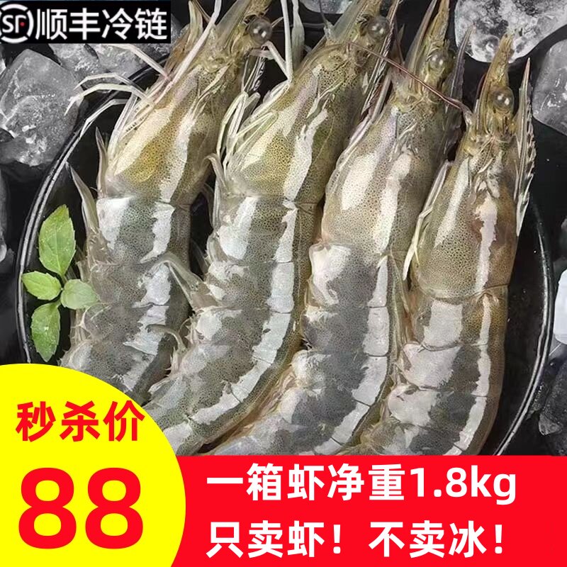 国产南美白对虾净重1.8kg厄瓜多尔特大青虾基围虾鲜活速冻