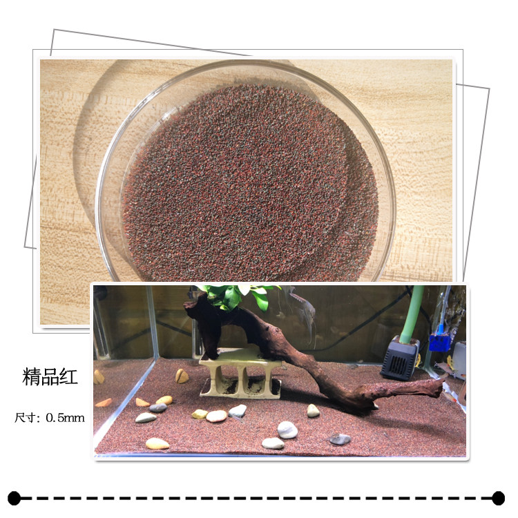 热带雨林沙萨伊太行红沙鱼缸底沙鼠鱼沙雷龙七彩神仙南美缸水草沙