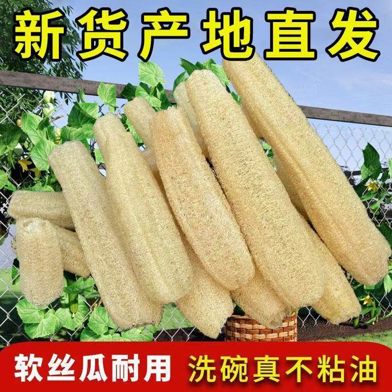 纯天然丝瓜络洗碗抹布水瓜锅刷去污不沾油百洁布洗碗神器干丝瓜瓤