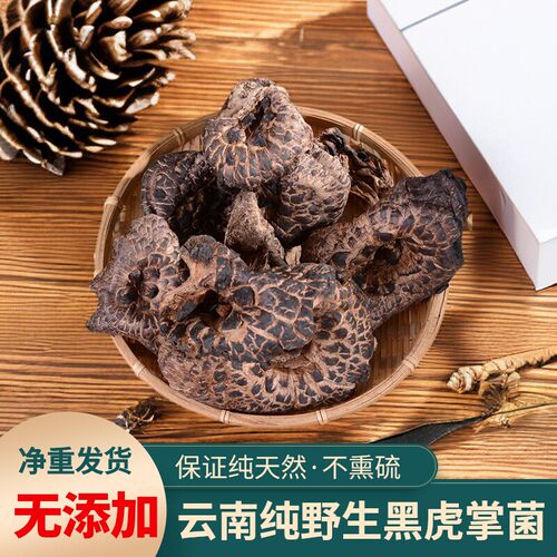 云南纯野生黑虎掌菌干货天然无硫