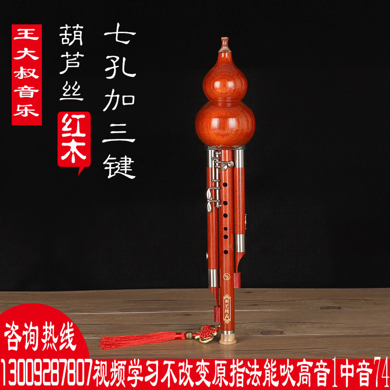 王大叔七孔加键葫芦丝红木乐器c/b/g/f调演奏型九孔成人学生新艺