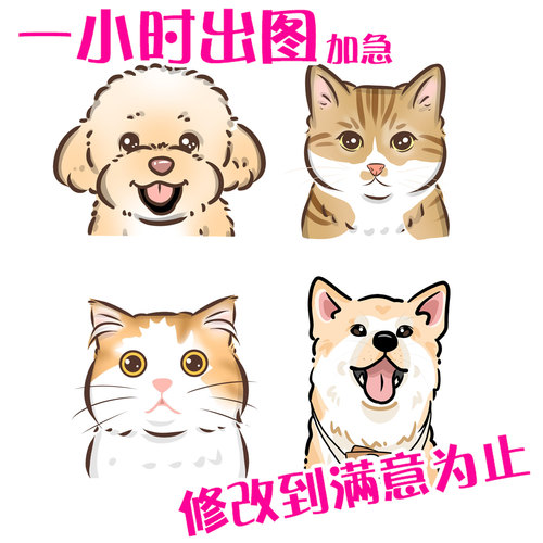 宠物画像头像手绘定制Q版猫咪