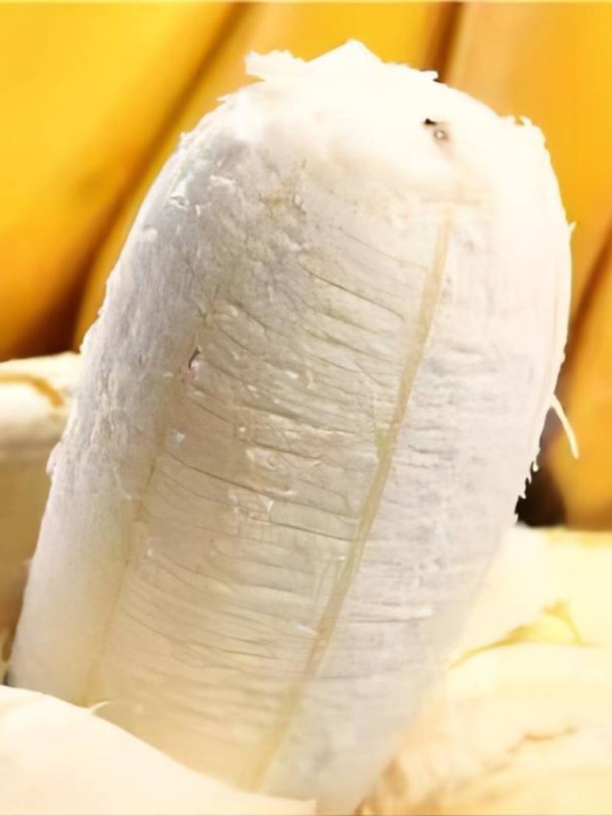 广西正宗苹果焦香蕉新鲜10斤大果当季水果苹果蕉自然熟小米蕉甜f