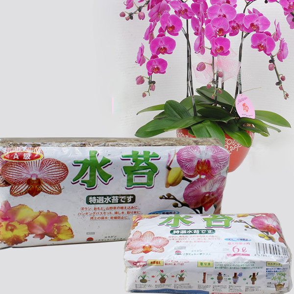 水苔  强压缩干苔藓 蝴蝶兰专用土兰花无土栽培介质土 包邮在类目 鲜花速递/花卉仿真/绿植园艺, 园艺用品, 家庭园艺肥料/营养土/营养液中 - 来自Buy2taobao.com提供专业的淘宝代购服务