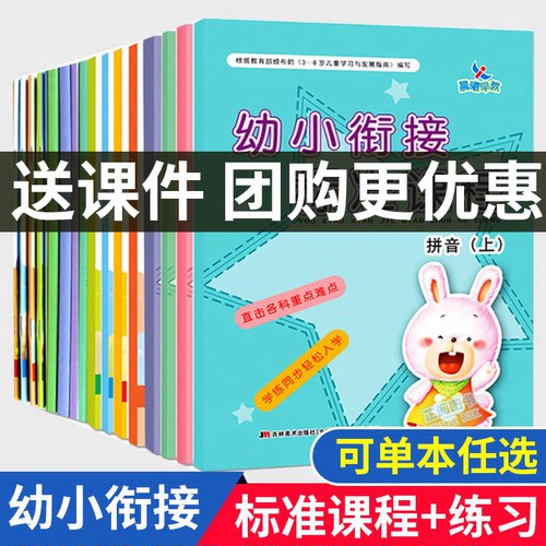 幼小衔接标准课程+同步练习全套