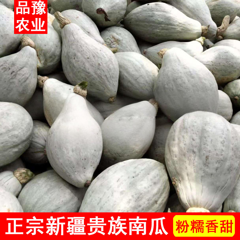 新疆原产地贵族南瓜正宗沙漠板栗老南瓜9斤宝宝辅食 非贝贝南瓜