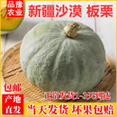 新疆银栗南瓜沙漠板栗南瓜粉糯香面贵族南瓜非贝贝南瓜宝宝辅食