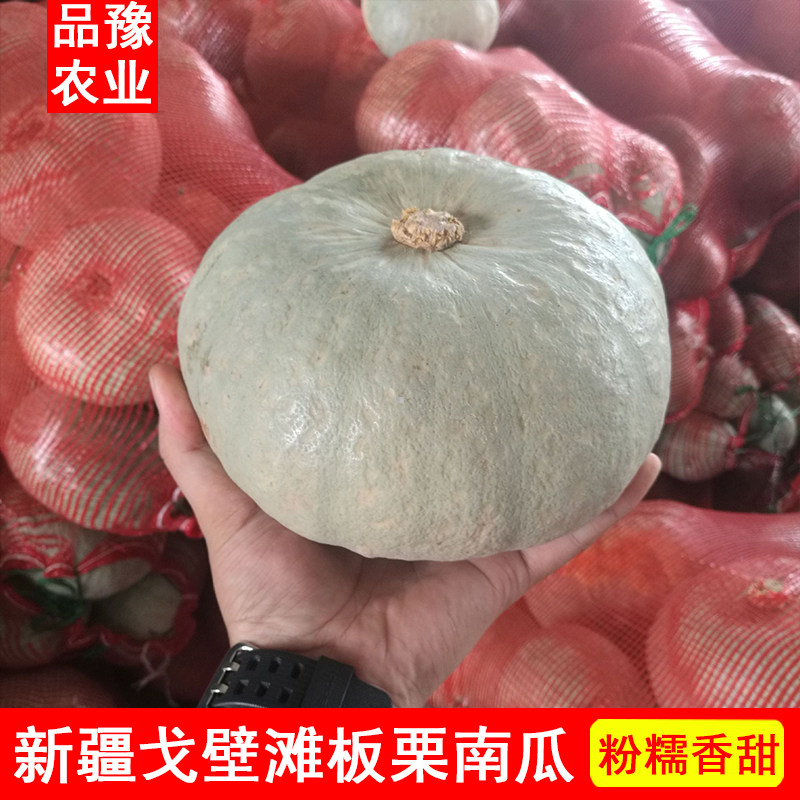新疆原产地银栗南瓜【农家】