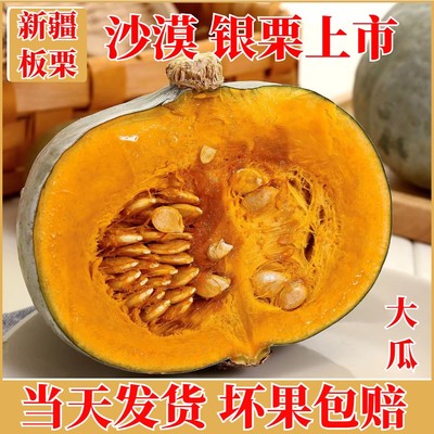 新疆银栗板栗老南瓜粉糯香甜包邮