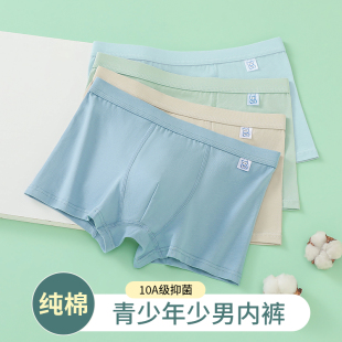 短裤 纯棉发育期男孩高中生初中生平角裤 头秋冬 男四角裤 青少年内裤