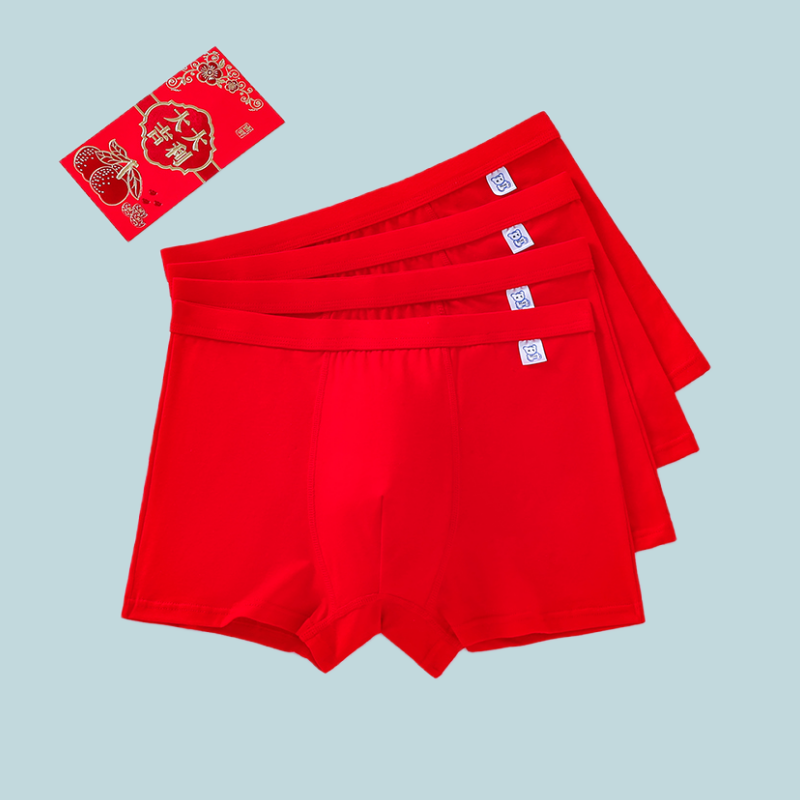 本命年青少年内裤纯棉男童不夹PP