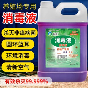 消毒液养殖场专用杀菌兽用养猪牛羊鸡场鸽舍除臭液高锰酸钾消毒水