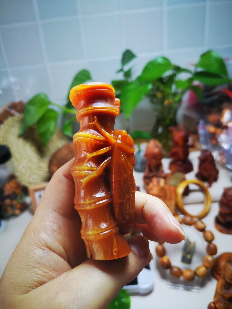 长白山琥珀木全透光松明子明丁